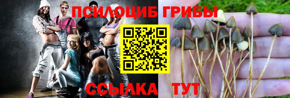 Галлюциногенные грибы ЛСД  Вход с VPN  купить   Ялта  Галлюциногенные грибы MAGIC MUSHROOMS 